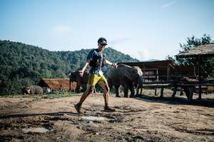 BIB: 2013
                            <button type="button" onclick="openModal(22422902)" class="btn btn-primary btn-sm float-right btn-popup" data-toggle="modal" data-target=".modal-high-quality">
                        <i class="fas fa-shopping-cart"></i> Add to Cart
                    </button>
                                            <button type="button" onclick="isThisMe(22422902, true)" class="btn btn-success btn-sm float-right btn-popup btn-isme hidden" data-toggle="tooltip" data-placement="bottom" title="นี่คือรูปของคุณใช่ไหม คลิกที่นี่เพื่อเอาเข้าอัลบั้ม">
                        <i class="fas fa-plus"></i> Add to album
                    </button>
                    <button type="button" onclick="isThisMe(22422902, false)" class="btn btn-warning btn-sm float-right btn-popup btn-isnotme hidden">
                        <i class="fas fa-ban"></i> Remove from album
                    </button>